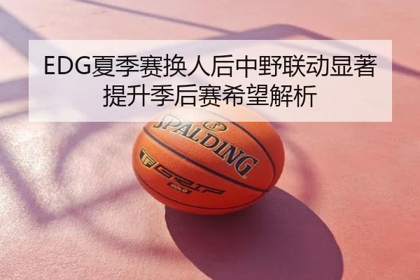 EDG夏季赛换人后中野联动显著提升季后赛希望解析